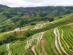 -龙脊梯田