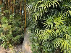 -人民公园(罗湖区)