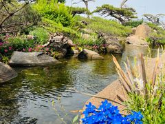 -罗红摄影艺术馆