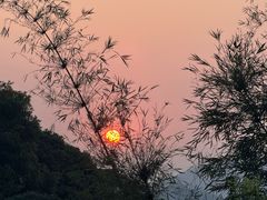 -天鹿湖森林公园