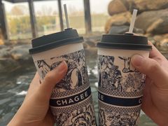 -春晖园度假酒店温泉