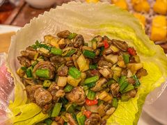 -顺德了能馆(虎门店)