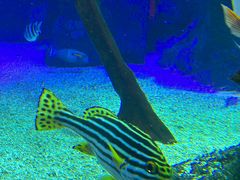 -沈阳海洋探索中心