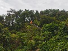 -南丹山森林王国