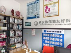 -伟伟宠物医院·瑞派猫友好医院·猫科(光谷店)