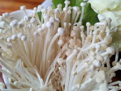 -捞围鲜·港式打边炉(海阳路店)