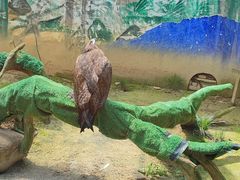 -杭州野生动物世界
