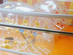 -不可思议减压馆·解压博物馆·摔碗发泄·团建定制
