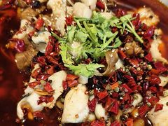 -周姑娘不等味·牛羊肉火锅·螃蟹罗氏虾·烤鱼烤串(高邮店)