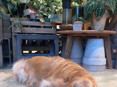 -自由生长植物工作室(深港花卉中心店)