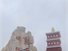 -郭莽湿地