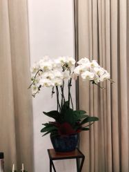 -新蝶变皮肤管理中心