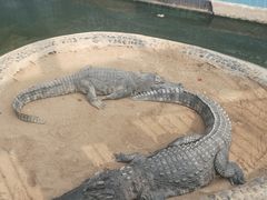 -太原动物园