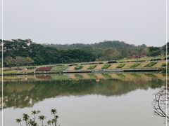 -东莞植物园