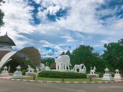 -清迈夜间动物园