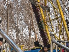 -长白岛森林公园