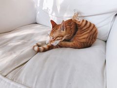 -NOTOOCAFE不二咖啡馆(岩前店)