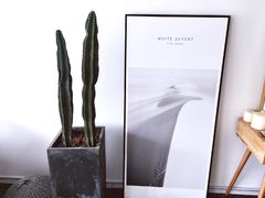 -Hello·生日蛋糕·下午茶·甜品台茶歇(瑞安东山店)