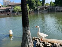 -东莞市可园博物馆