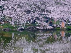 -乌镇景区