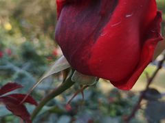 -人民公园(罗湖区)