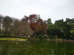 -晓港公园