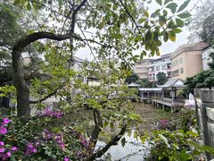 -长洲岛
