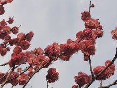 -则平律师服务团队·婚姻家事·法律服务