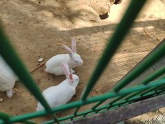 -羊亭河湿地公园