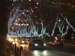 -索菲特西湖大酒店·香榭丽全日候餐厅(南山路店)