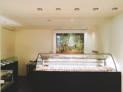 -BLACKSWAN黑天鹅(环球店)