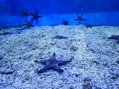 -太平洋海底世界