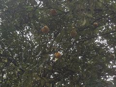 -艾溪湖湿地公园