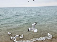 -青海湖二郎剑景区