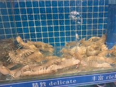 -周记老沈阳焦火鸡架