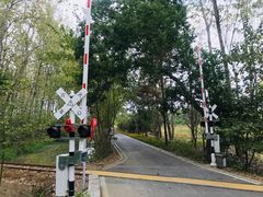 -合肥滨湖国家森林公园