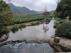 -中国茶叶博物馆(双峰馆区)