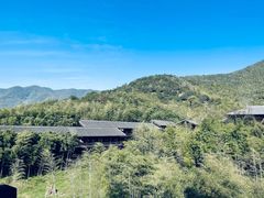 -大唐贡茶院