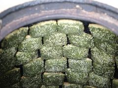 -奉化市溪口蒋氏千层饼厂