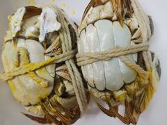 -阳澄湖大闸蟹·琼灵阁牌品牌连锁(吴中总店)