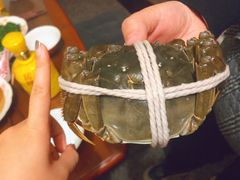 -黄记大闸蟹专卖店·活蟹·醉蟹