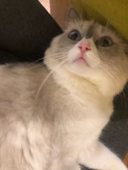 -FineYoga梵音瑜伽·普拉提