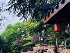 -白沙古井