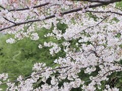 -西北湖绿化广场