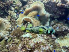 -鹿儿岛水族馆