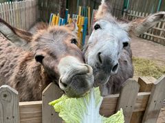 -水上乐园·欢乐世界