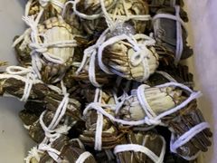 -黄记大闸蟹专卖店·活蟹·醉蟹