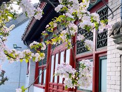-海棠花溪(元大都城垣遗址公园)