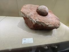 -衢州市博物馆