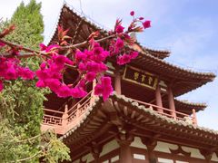 -西安青龙寺遗址景区